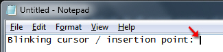 Blinking cursor / text insertion point in Windows 7