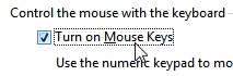 Enable or disable MouseKeys to control your mouse with your keyboard