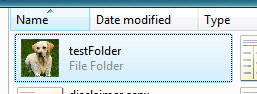 Folder with custom folder icon in Windows Vista