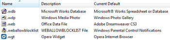 Listing of file types and file extensions in Windows Vista