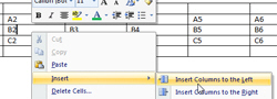 Insert table columns on the left in Word 2007