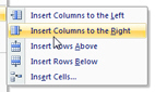 Create new columns on the right of the current column in Microsoft Word