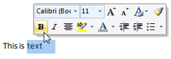 The Mini Toolbar in Word 2007