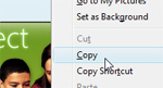 Copy and paste an image into your Word document