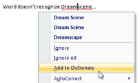 Add a unrecognized but properly spelled words to the custom dictionary