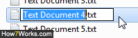 Type a new name for the selected file
