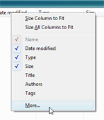 Customize folder fields in Windows Vista